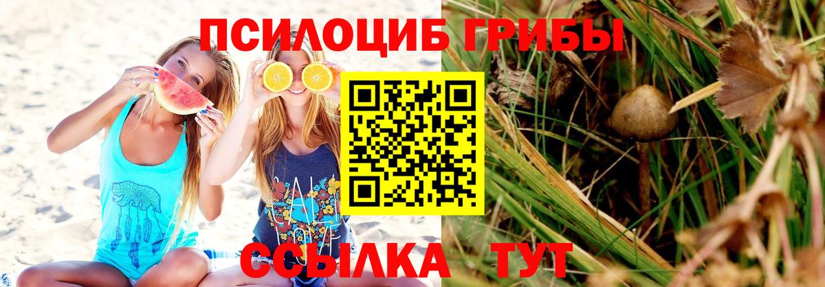 Галлюциногенные грибы ЛСД  Псилоцибиновые грибы мухоморы  Торжок  Вход с VPN 